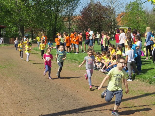 Nárcisz futás 2018 123